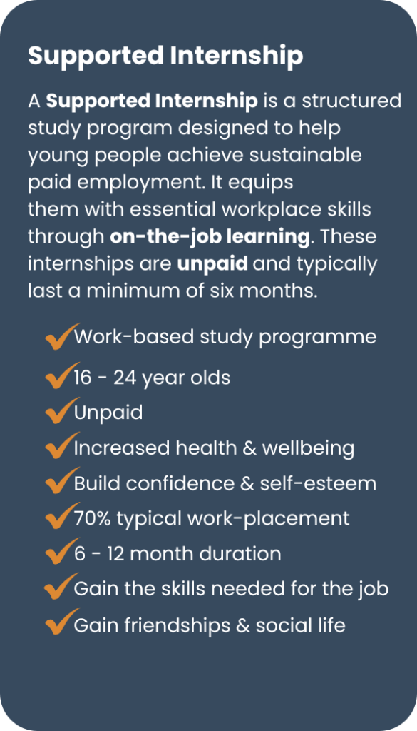 graphic with summary of supported internship criteria