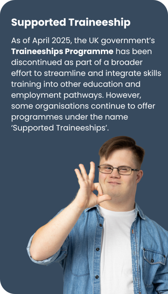 graphic with summary of supported traineeship criteria